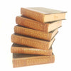 Charles Dickens Collection - Chapman & Hall 1906 - 18 Books