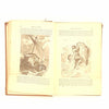 Daniel Defoe's Robinson Crusoe c1890