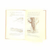A.A. Milne's The Christopher Robin Story Book 1941
