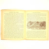 Big Book of Fairy Tales