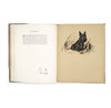 Dogs As I See Them by Lucy Dawson 1936 - First Edition