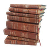 8 Inches of Matching Leather-Bound Books
