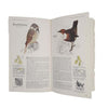 Book of British Birds 1976