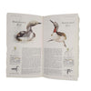 Book of British Birds 1976