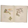 Marigold Garden: Pictures and Rhymes by Kate Greenaway