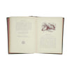 The Fables of Aesop c1900