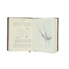The Microscope: Shown to the Children by Captain Ellison Hawks