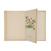 A Flower Garland and Alphabet by Agnes K. Swaine