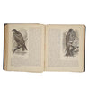 Routledge's Picture Natural History by J.G. Wood