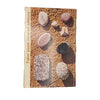 The Pebbles on the Beach by Clarence Ellis - Faber, 1974