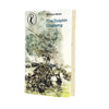The Dolphin Crossing by Jill Paton Walsh 1981 - Puffin