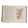 Plant-Life by Charles A. Hall, 1915