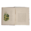 Common Wayside Flowers by Thomas Miller 1863
