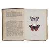 Butterflies and Moths Shown to the Children by Janet Harvey Kelman