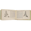 English Physician and Complete Herbal by William J. Ferrier, 1938