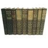The Fireside Dickens - 16 Book Collection