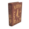 The Brown Fairy Book 1904 - First Edition