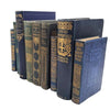 BOOKS BY THE METRE: Blue and Gold Collection