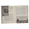 The Wonder Book of Wonders