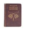 Wayside and Woodland Blossoms Series II by Edward Step - Warne & Co.