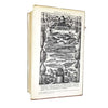 The Gourmet's Companion edited by Cyril Ray 1963 - Eyre and Spottiswoode