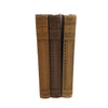 Jules Verne, Charles Kingsley, Harriet Beecher Stowe Vintage Classics Collection