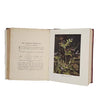Wild Flowers As They Grow, Vol. II by G. Clarke Nuttall