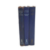 Jane Eyre & Wuthering Heights & Good Wives by Bronte Sisters & Alcott (Blue)