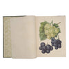 The Fruit Grower's Guide by John Wright