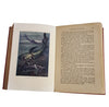 Jules Verne's Twenty Thousand Leagues Under the Sea