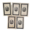 The Penguin Shakespeare - 5 Books