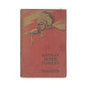 Astray in the Forest by E. S. Ellis - Cassell 1934