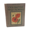 Our British Wild Flowers by Arthur O. Cooke - Nelson, 1915