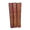 Charles Dickens Novels (3 Books)