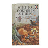 Ladybird 536: What to Look for in Autumn