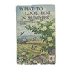 Ladybird 536: What to Look for in Summer
