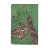 Ladybird 651 Natural History: Story of the Spider