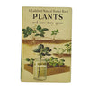Ladybird 651 Natural History: Plants and How they Grow
