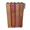 Charles Dickens Novels (4 Red Books)