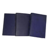 Charles Dickens Novels (3 Blue Books)