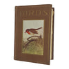 Birds by M.K.C. Scott - Nelson