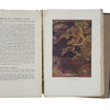 Myths and Legends of Japan by F. Hadland Davis - Harrap 1928