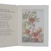 Flower Fairies of the Autumn by Cicely Mary Barker - Blackie