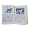 The Observer's Book of Dogs by Sonia Lampson (#8) 1948 DJ