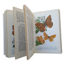 The Observer's Book of Common Insects & Spiders (#17) 1953 DJ