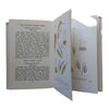 The Observer's Book of Mosses, Liverworts by Arthur L. Jewell (#20) 1968 DJ