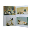 The Observer's Book of Cats by Grace Pond (#30) NO DJ BURGUNDY