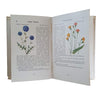 The Observer's Book of Garden Flowers by Arthur King (#25) 1969 DJ