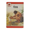 Ladybird 737 Leaders: Fire 1977