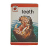 Ladybird 737 Leaders: Teeth 1978